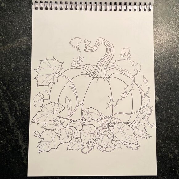 Mindful Relaxation Stress Relief Coloring Book and Markers (NWOT) - Picture 10 of 15